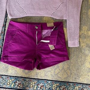 NWT American Eagle Shorts Size 4 Super Stretch Shortie